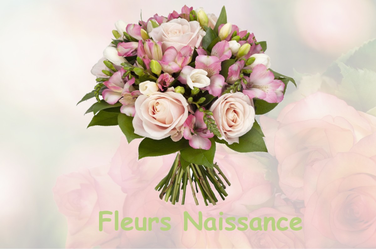 fleurs naissance VALENCE-D-ALBIGEOIS